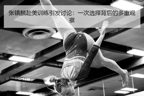 zhang-zhen-lin-fu-mei-xun-lian-yin-fa-tao-lun-yi-ci-xuan-ze-bei-hou-de-duo-zhong-guan-cha-2-596.jpg